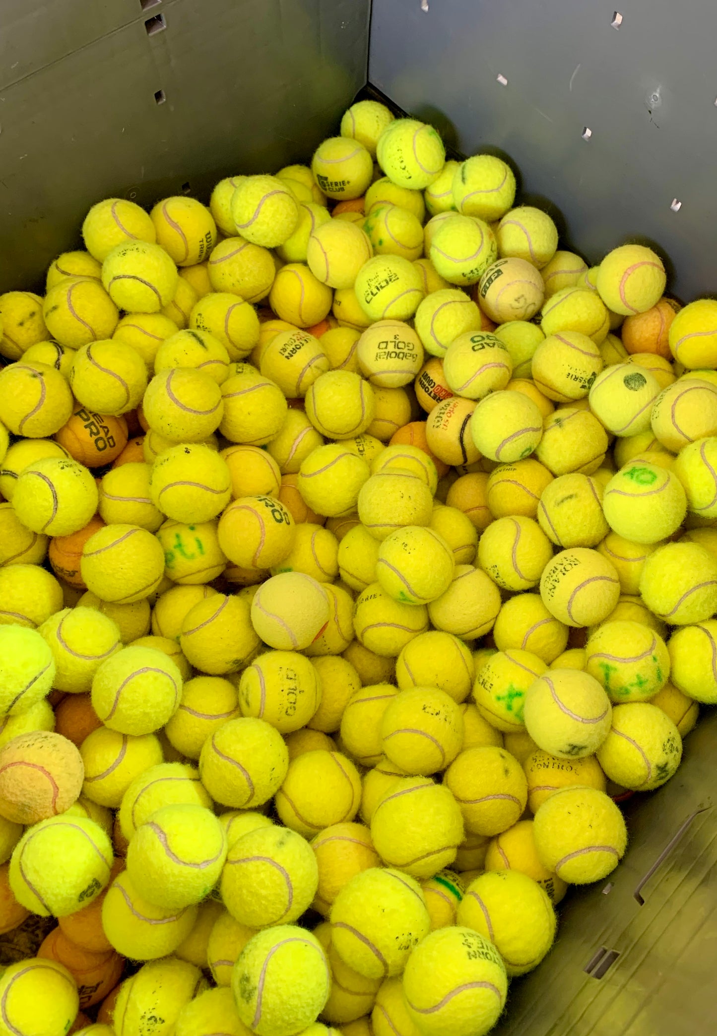 100x Tennis Balls in Mixed Condition – Well-Known Brands at a Reduced Price